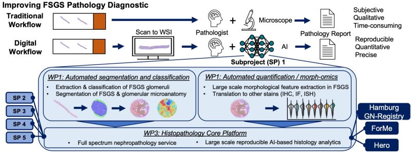 Graphical Abstract Improving FSGS Pathology Diagnostic